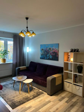 Spacious & cozy apartment, free parking, contact-free entrance